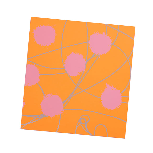 'gift wrap edition bauhaus-shop'