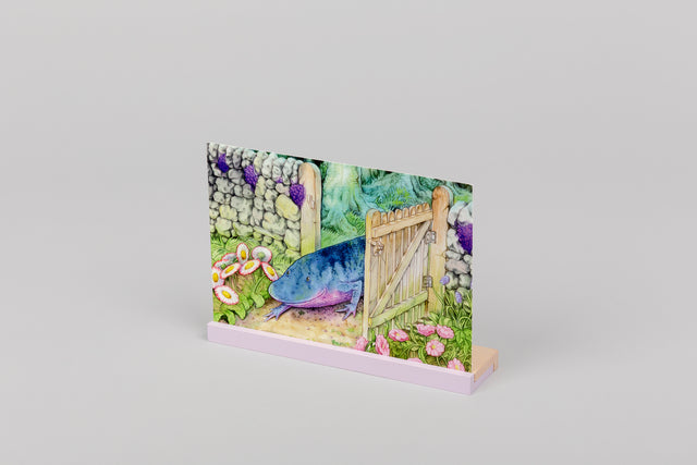 'loop' postcard holder