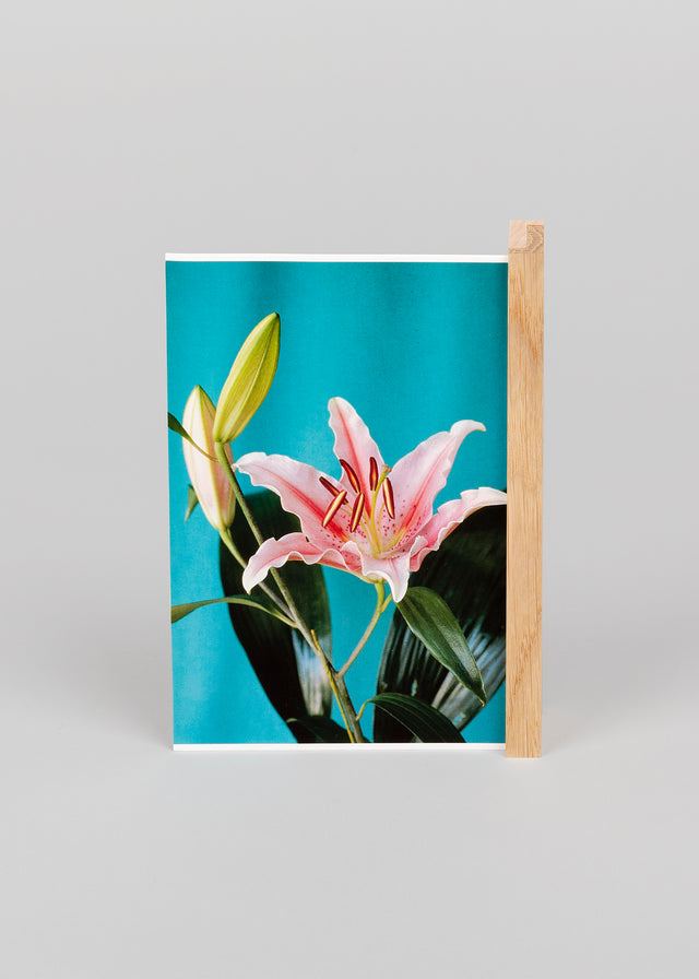 'loop' postcard holder