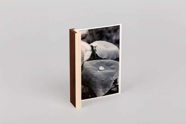 'loop' postcard holder