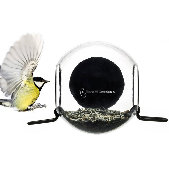 'close-up' bird feeder
