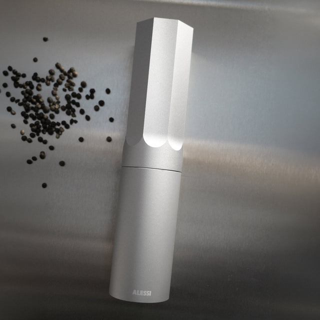 KG01 | Salt, pepper, and spice mill